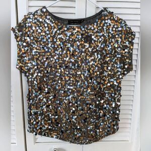 The Limited Top sz XS Grey Chiffon Sequin Front Silver Bronze Metallic Festive
